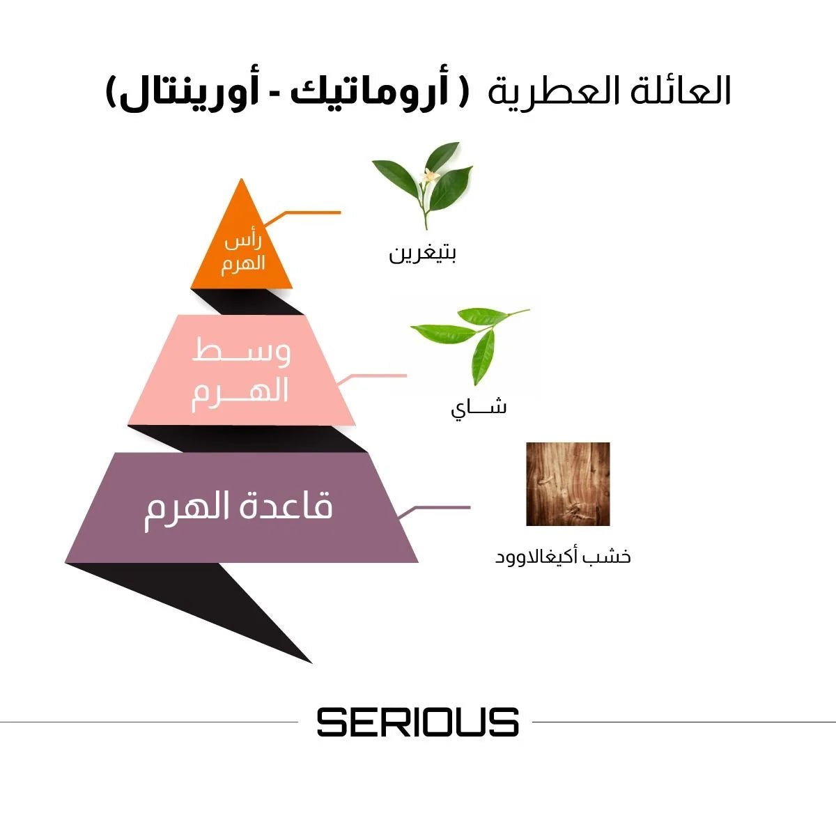 عطر سيريس من الماجد للعود - 100 مل للرجال