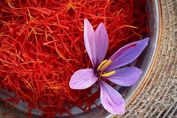 زعفران سوبر نيجين – أعلى درجات الجودة في العالم