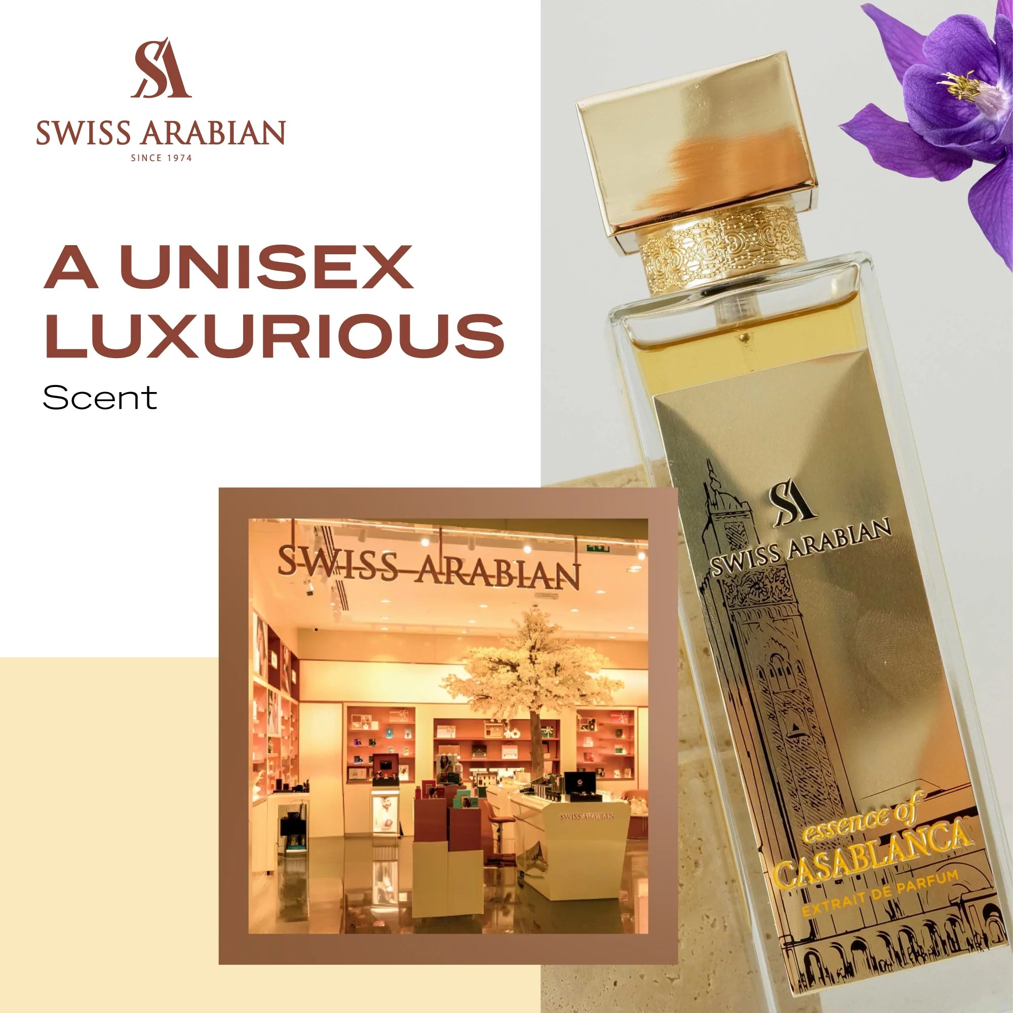 عطر إيسانس أوف كازابلانكا المركز من سويس اربيان - 100 مل للجنسين