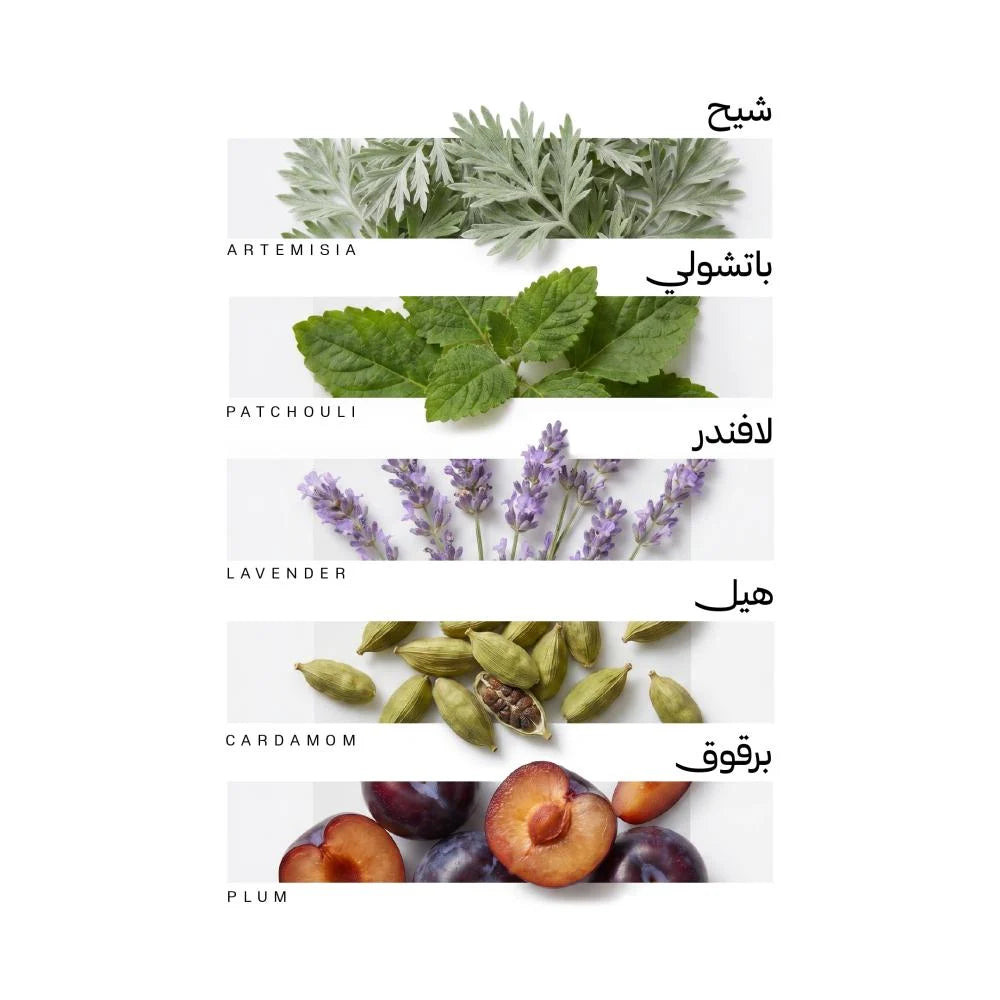 عطر الطريف من رسيس | أو دو بارفان - 75 مل | للجنسين
