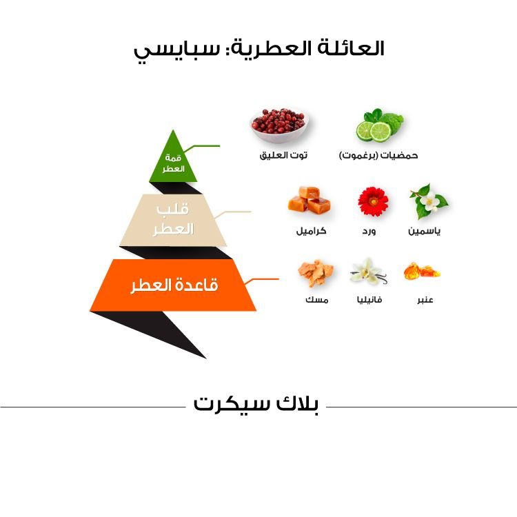 عطر بلاك سيكرت كلاسيك – الماجد للعود – 100 مل | للجنسين