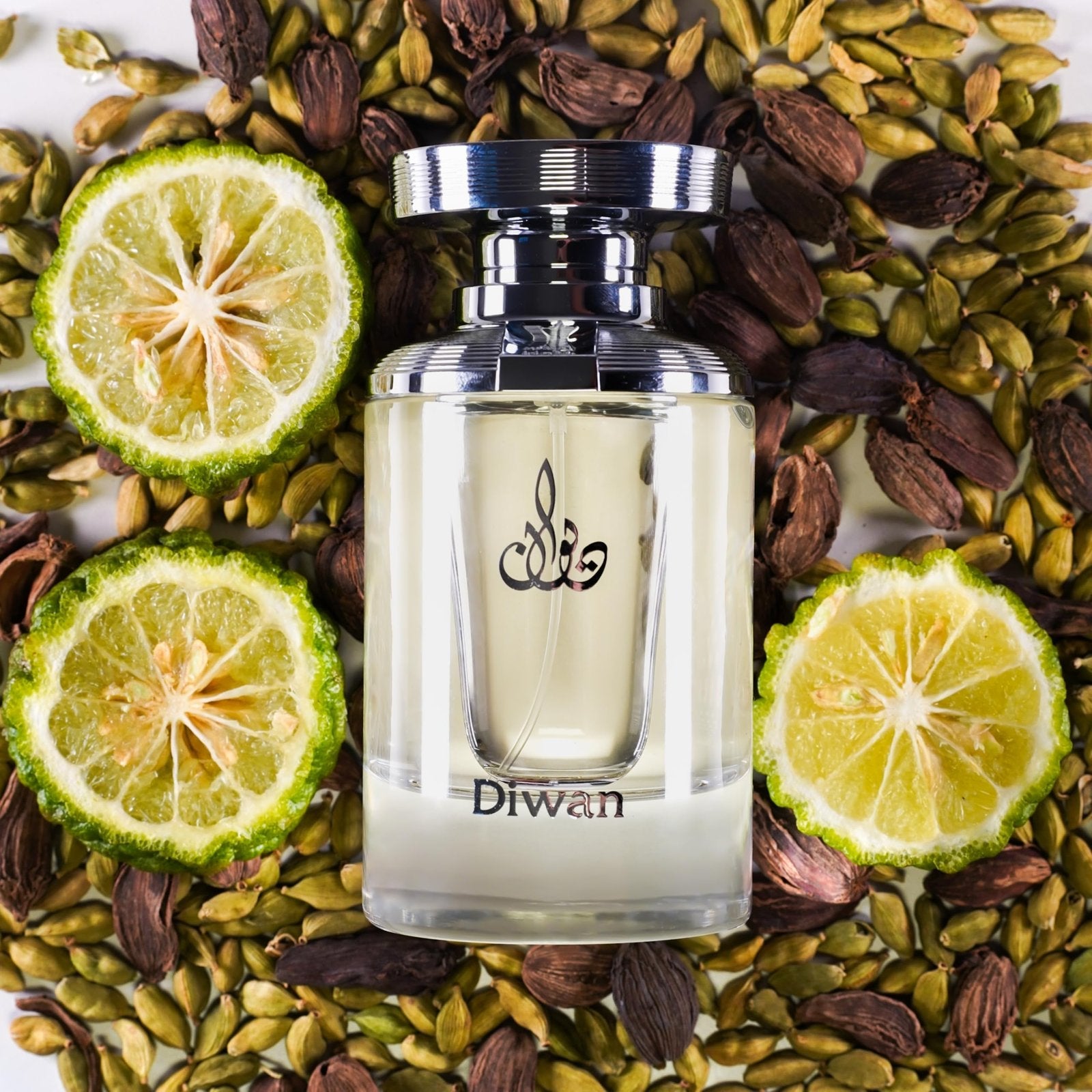 عطر ديوان من العربية للعود – 100 مل