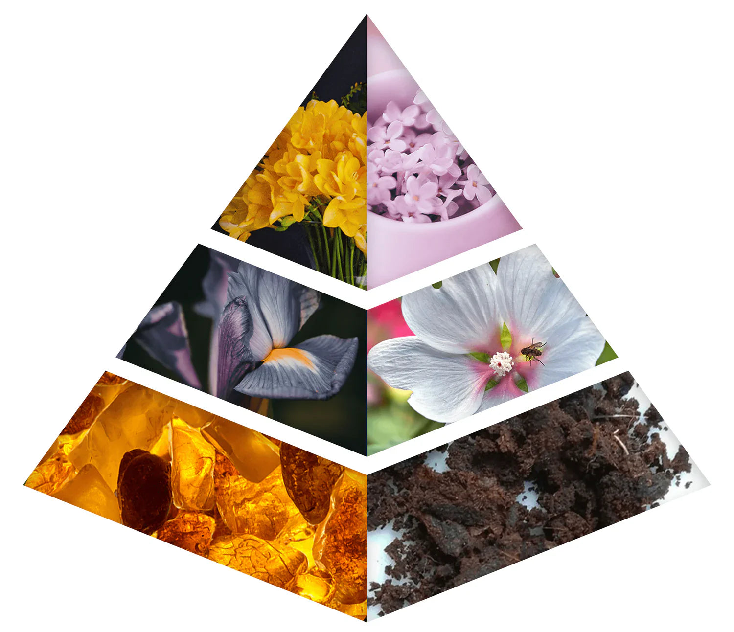 عطر خالص مسك من خدلج – 100 مل | للجنسين