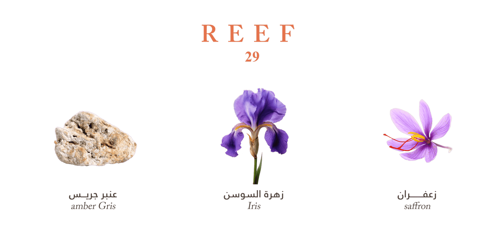 عطر ريف 29 من ريف - 100 مل | للجنسين