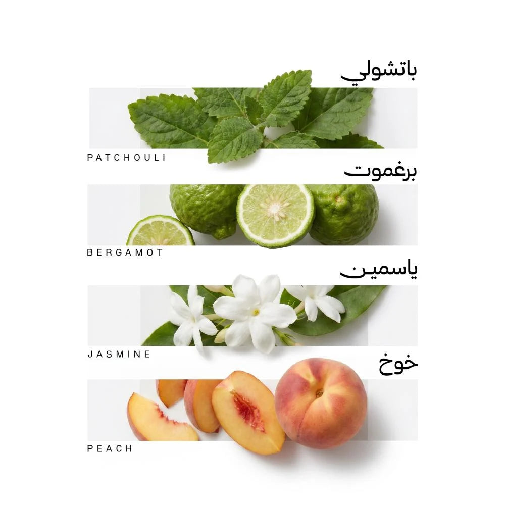 Riyadh Perfume by Rasasi | 75ml | Luxurious Niche Edition