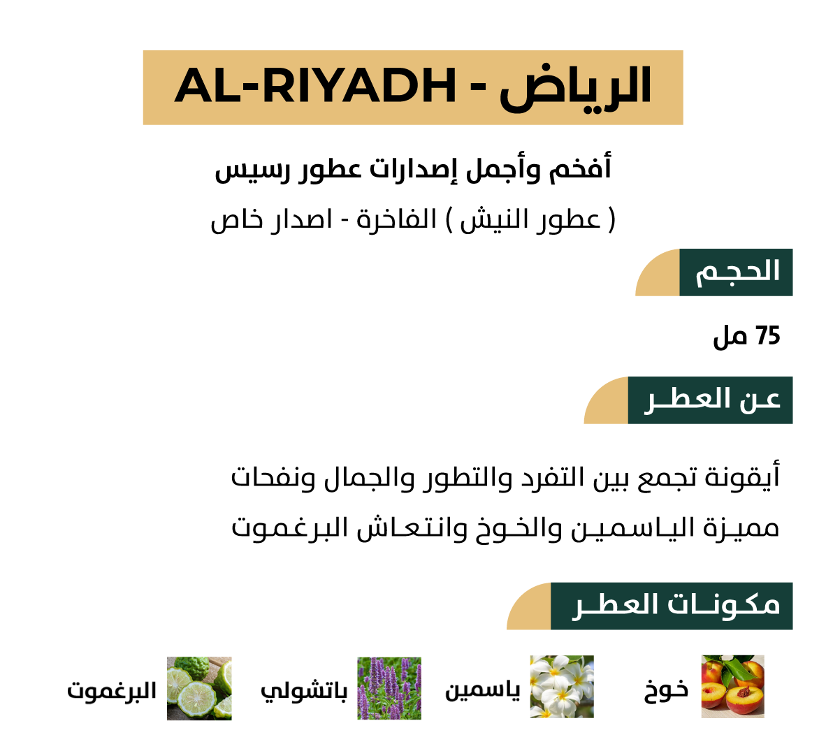عطر الرياض من رسيس | 75ml | إصدار نيش فاخر