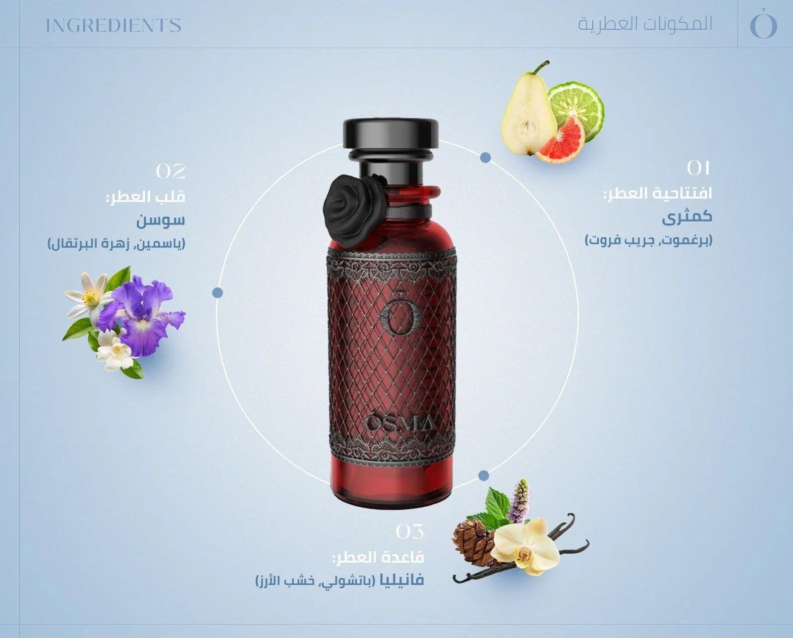 عطر تشارمينج المركز من أوسما – إصدار محدود – 150 مل | للجنسين